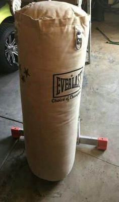 Everlast 70 pounder